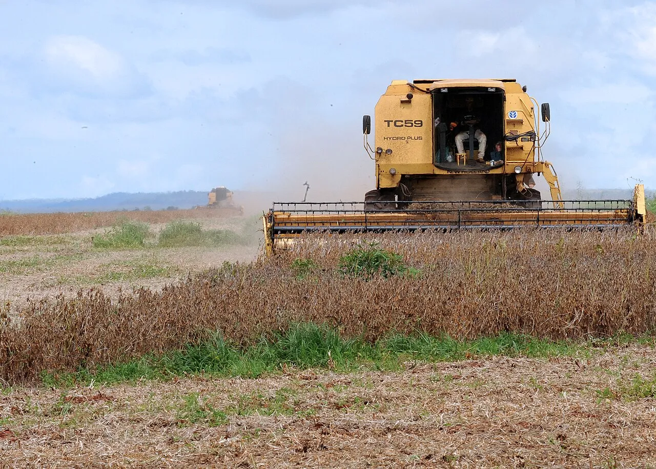 Colheitadeira amarela cortando uma lavoura de soja madura, com outra máquina ao fundo e céu nublado, em Rondonópolis (MT)